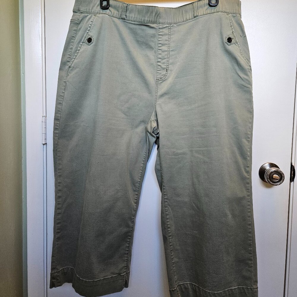 Size 2X Terra & Sky Green Wide Leg Cropped Pant